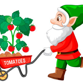 Stampa Gnomo natalizio