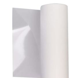 Rotolo  Pet film 75 micron per Dtf  